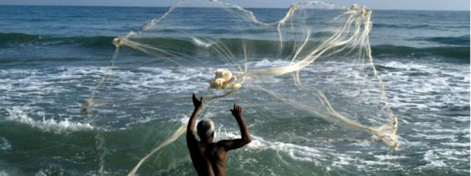 ත්‍රිකුණාමලයේදී ධීවරයෙකු අත්අඩංගුවට