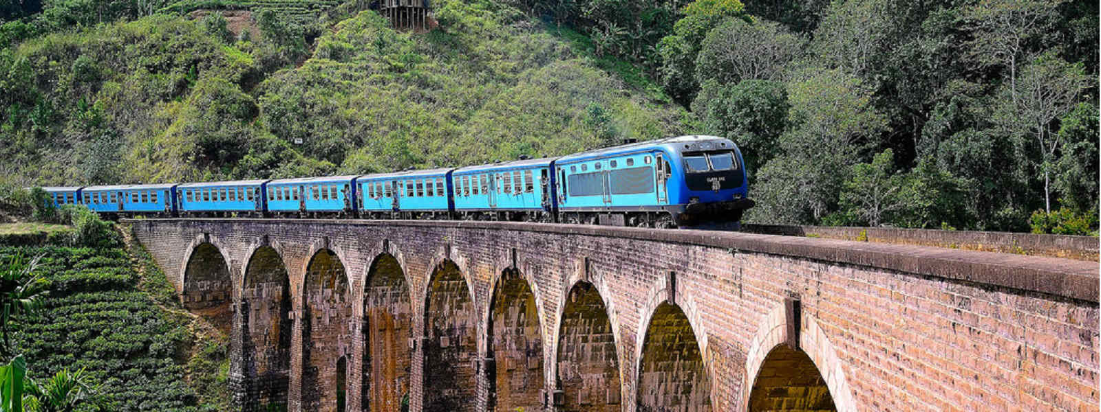 ආරුක්කු නවය පාලම නැරඹීමට ගියපිරිසකට බඹර ප්‍රහාරයක්