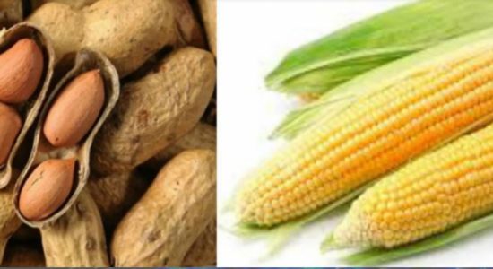 රටකජු, බඩඉරිඟු ආනයන බලපත්‍ර දීම අත්හිටුවයි