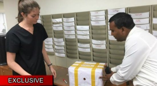 මන්නාරම සමූහ මිනී වළ: කාල නීර්ණ වාර්තාව හෙට