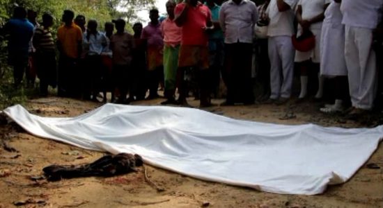 මහියංගනයේ වන අලි ප්‍රහාරයකින් තිදරු පියෙකු මරුට