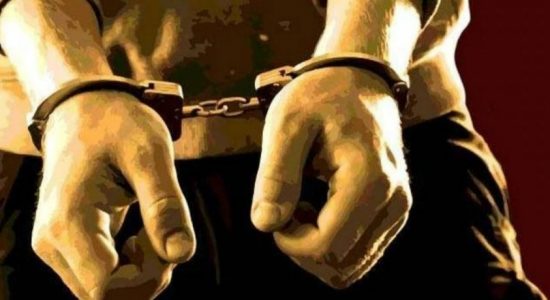 මීගමුවේ නාගරික මන්ත්‍රීවරයෙක් අත්අඩංගුවට