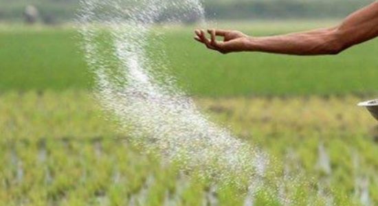 පුත්තලමේ පොහොර හිඟයක්...
