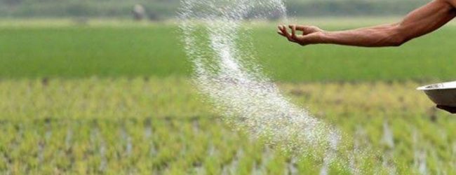 පුත්තලමේ පොහොර හිඟයක්...
