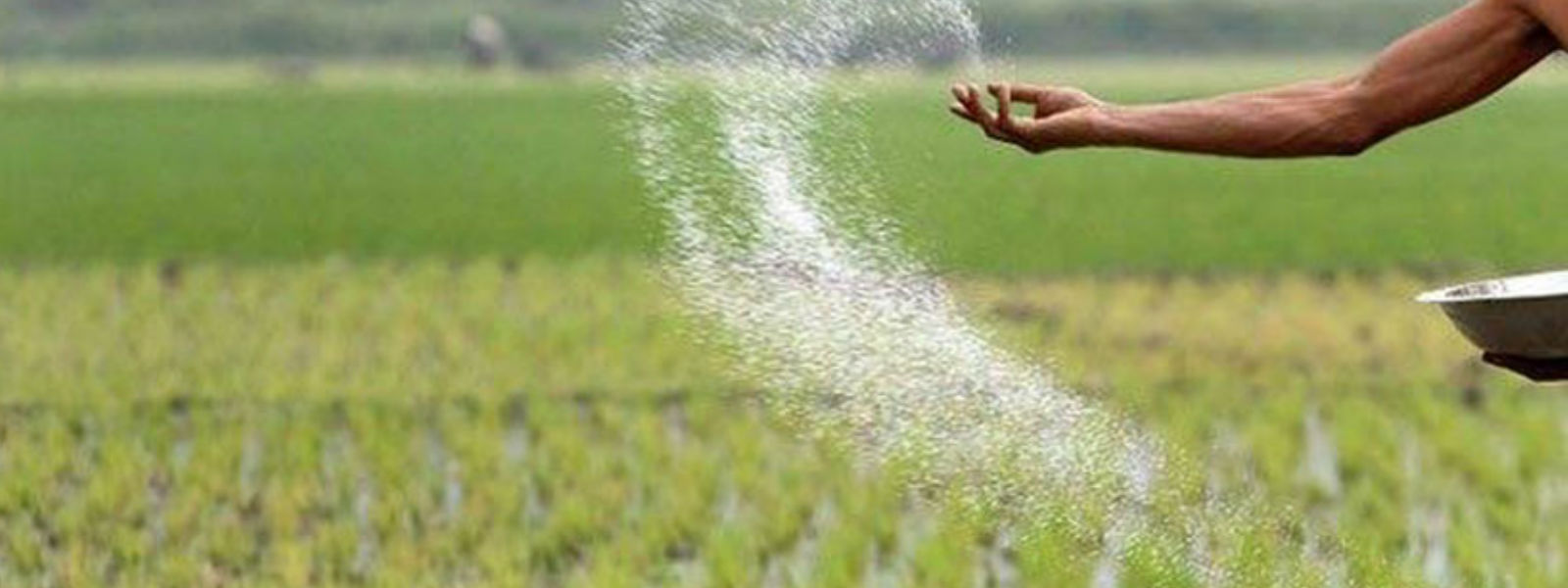 පුත්තලමේ පොහොර හිඟයක්...