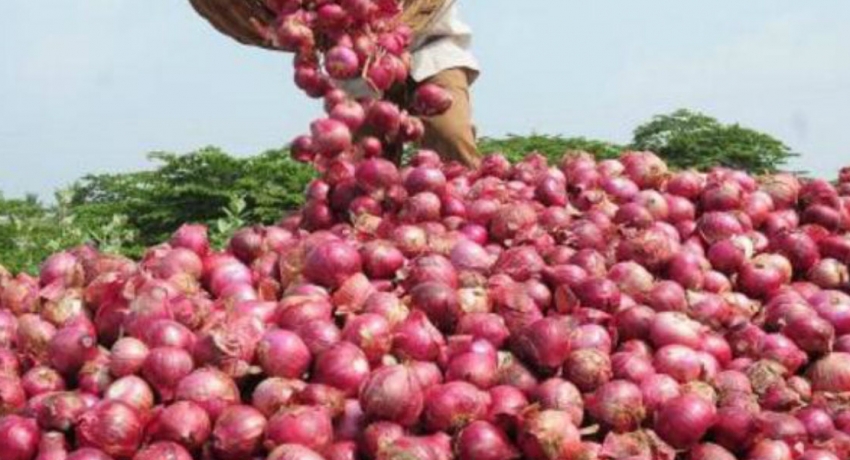 ආනයනික ලොකු ළූණු බද්ද ඉහළ දැමේ