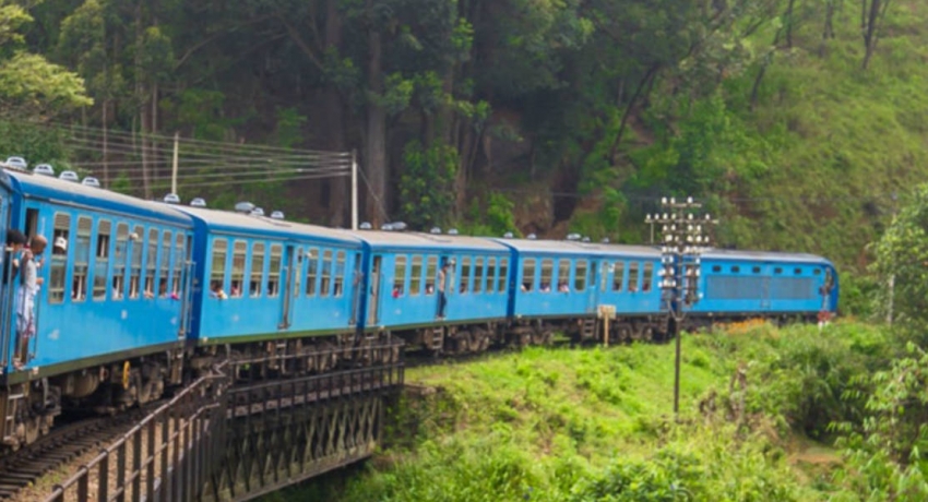 ‘පොඩි මැණිකේ’ පීලිපනී