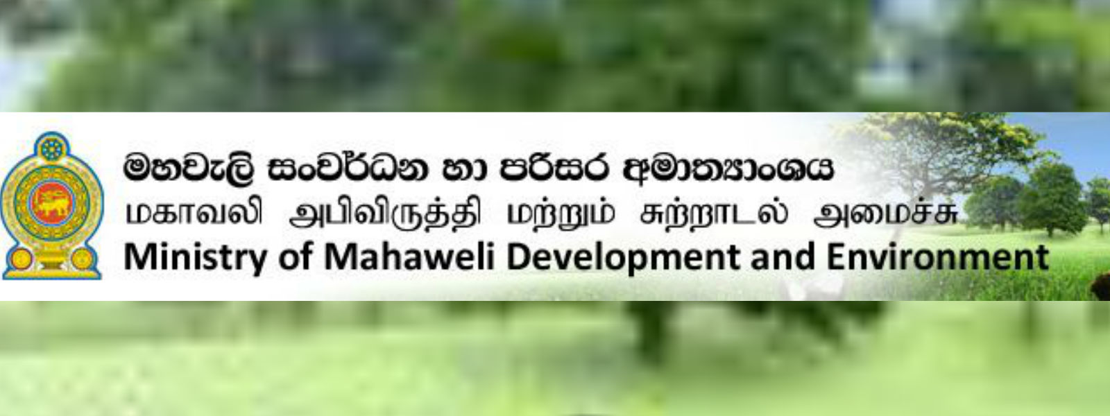 "සම්ප්‍රදායික වඩු මඩු තහනම් නැහැ"