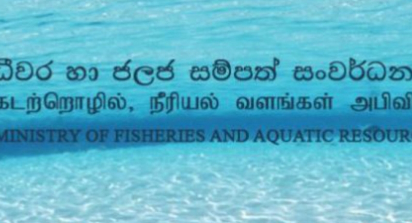 පාකිස්තාන ආරක්ෂක අංශ භාරයේ සිටි ධීවරයින් නිදහස්