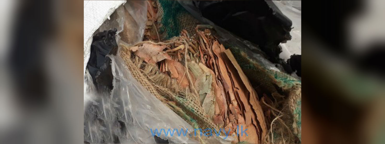 බීඩි කොළ කිලෝ 2379ක් සමග ඉන්දියානුවන් 6ක් දැලේ 