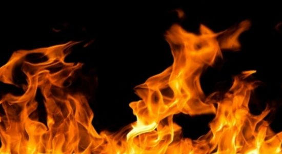 ඉංගිරියේ බීර නිෂ්පාදන ආයතනයක ගින්නක්