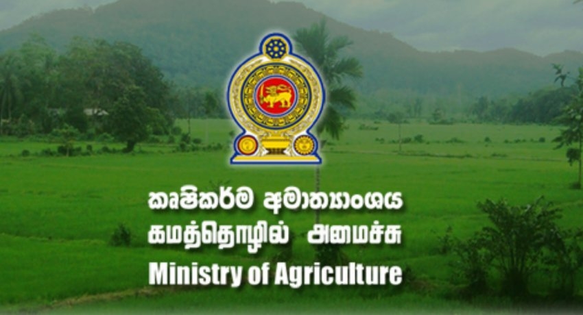 අමාත්යාංශ ගොඩනැගිල්ලට මි. 21 කුලියක්