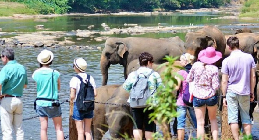 සංචාරකයින්ගේ පැමිණීම 66% කින් ඉහළට…