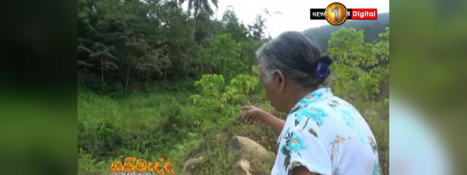 සේසත හා ජීවිත කන්දට බිලිදුන් කෑලි හා භාග නිවැසියන්
