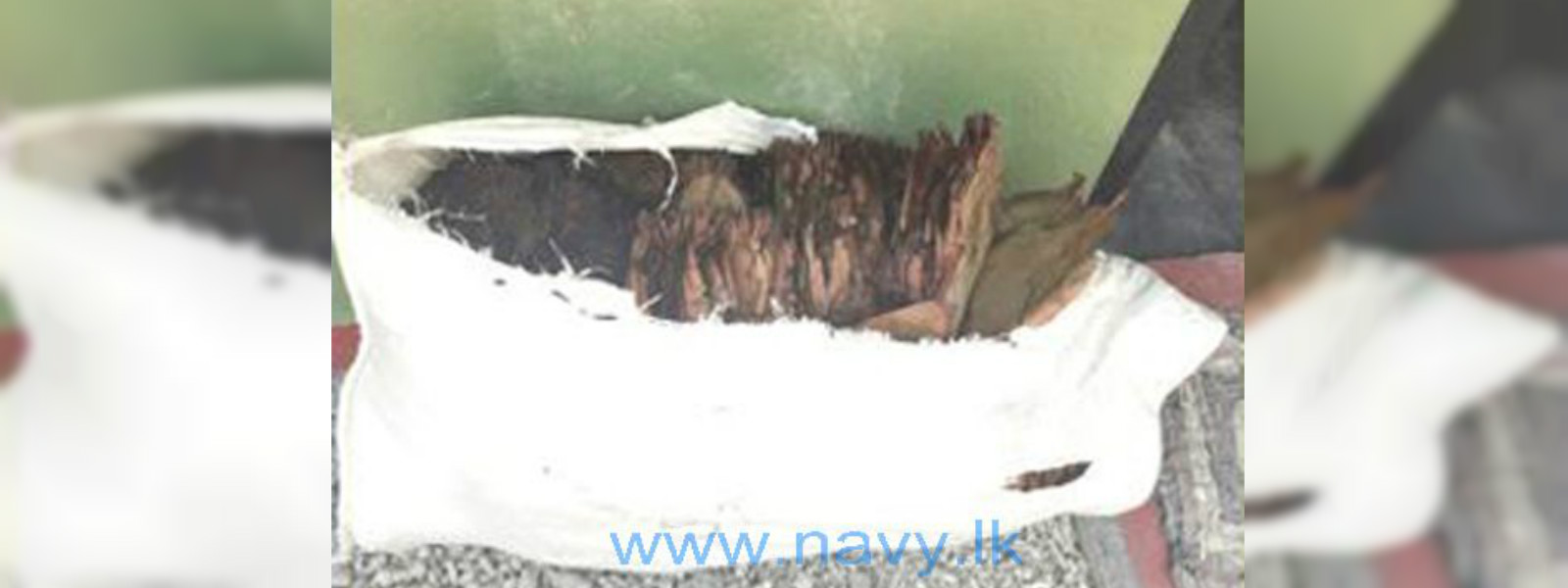 උතුරු මුහුදෙන් බීඩි කොළ තොගයක් සොයා ගනී