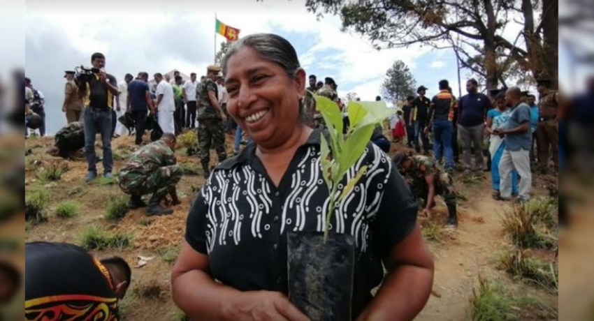 ඇල්ල වෙනුවෙන් පෙළ ගැසුණු V-force අපේ හරිත රැල්ල