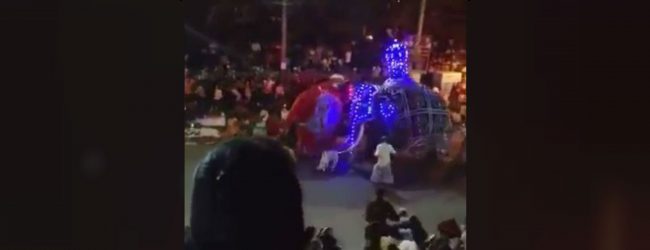 පෙරහැරක අලි කුලප්පුවක් : පුද්ගලයින් 17කට තුවාල 