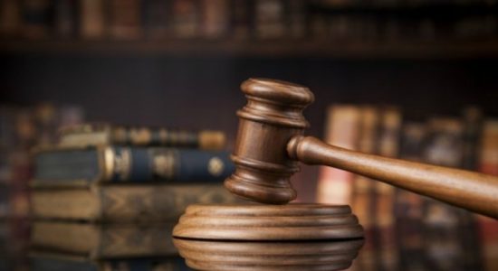 අලි රොෂාන් ගැන ඉදිරි පියවර දැනුම් දෙන්නැයි, නියෝග 