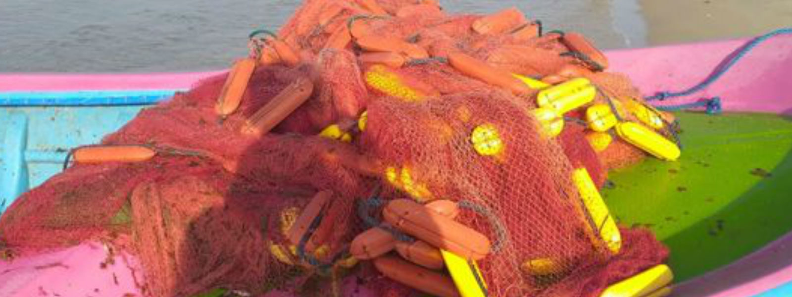 තහනම් දැල් සමග 12ක් මන්නාරමේදී අත්අඩංගුවට 