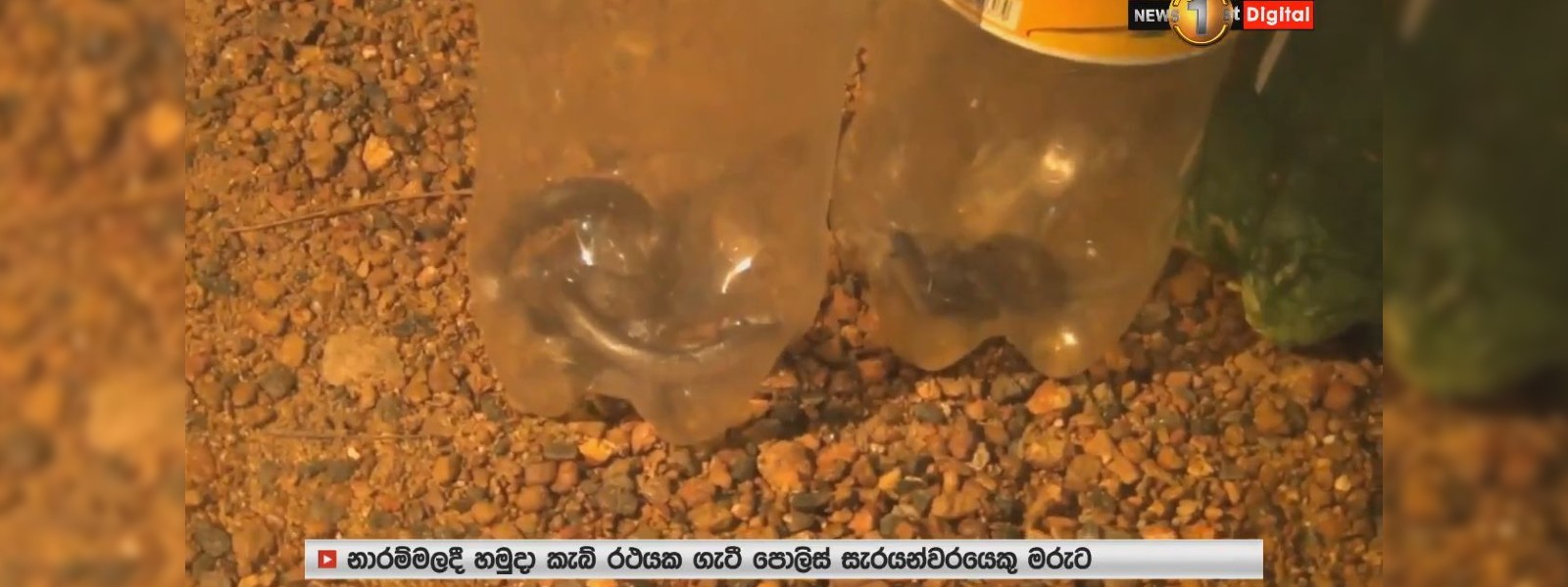 වාද්දුව නිවසක අත්තිවාරමකින් නයි පැටවුන් 12ක්