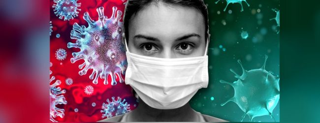 තවත් 6 දෙනෙකු සුවය ලබයි