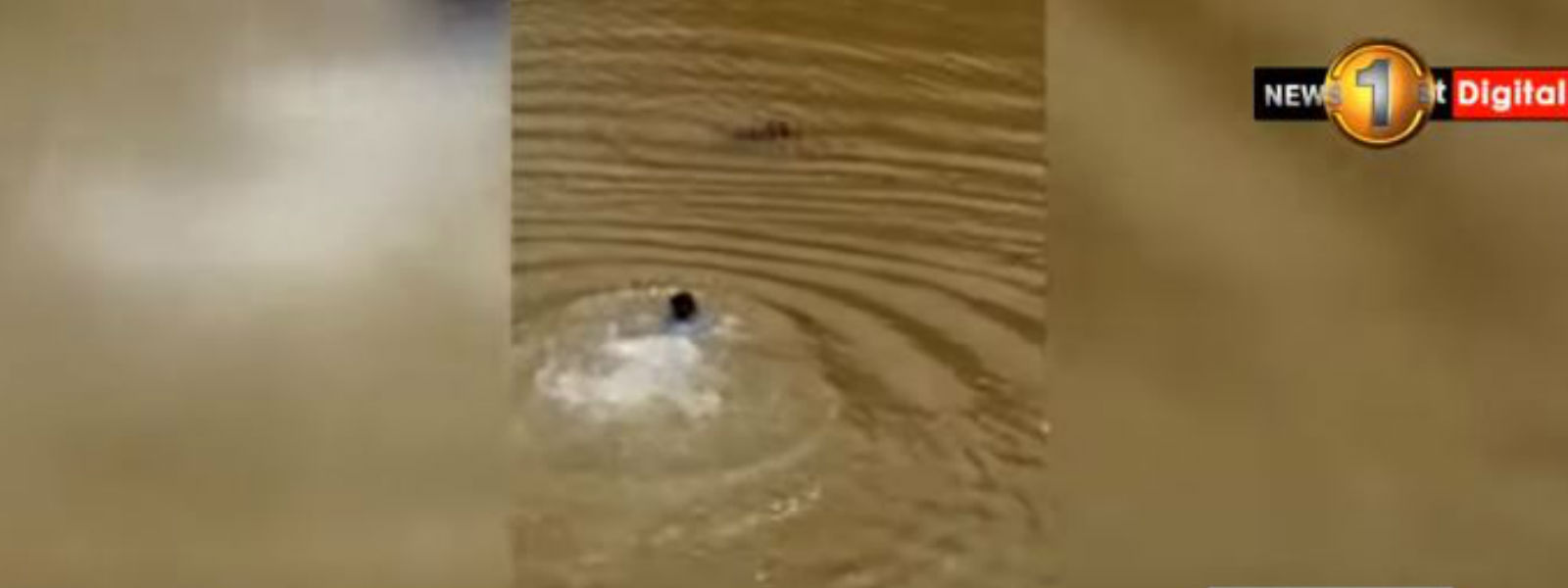 දිය රකුසාට බිලිවූ&nbsp; උතුම් මනුසත්කම 