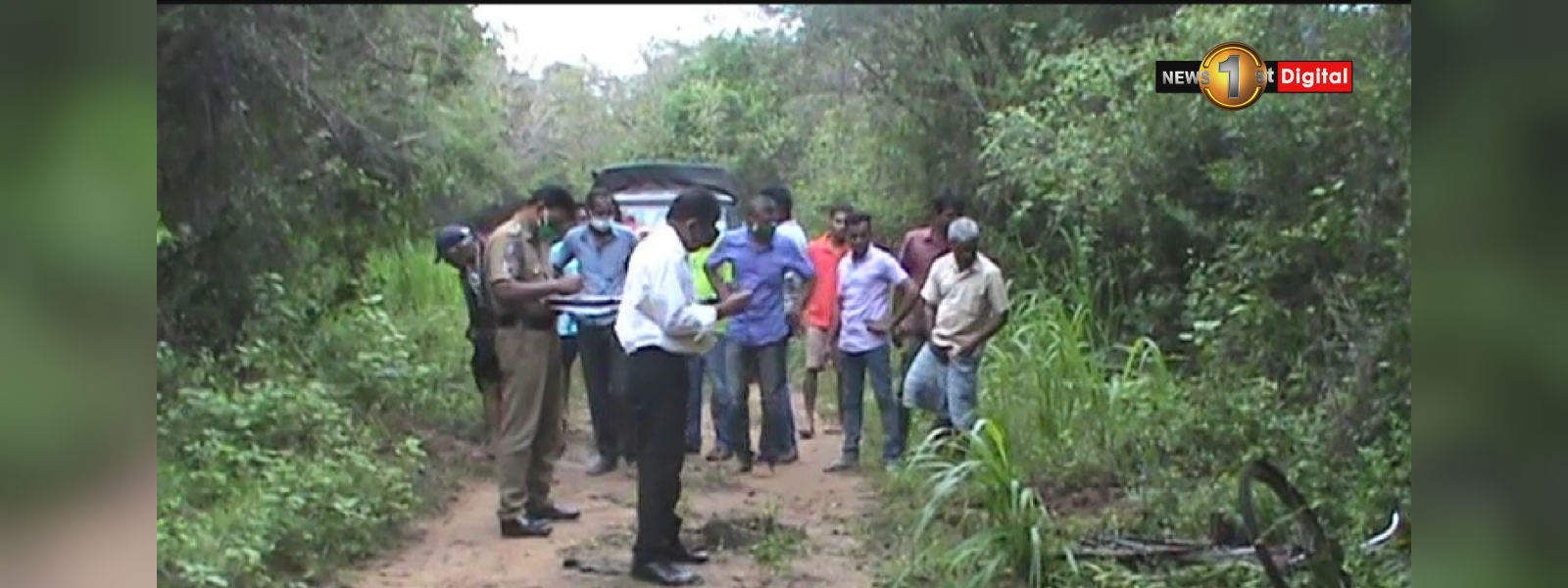 හබරණදී වන අලි ප්‍රහාරයකින් පුද්ගලයෙකු මරුට
