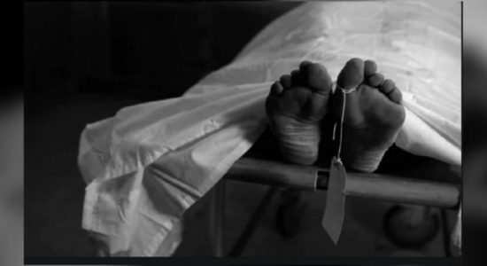 වලවේ ගඟේ දියනෑමට ගිය තරුණයින් දෙදෙනෙකු මරුට