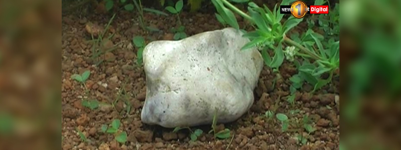 පේරාදෙණියෙන් සැක සහිත පාෂාණයක්?