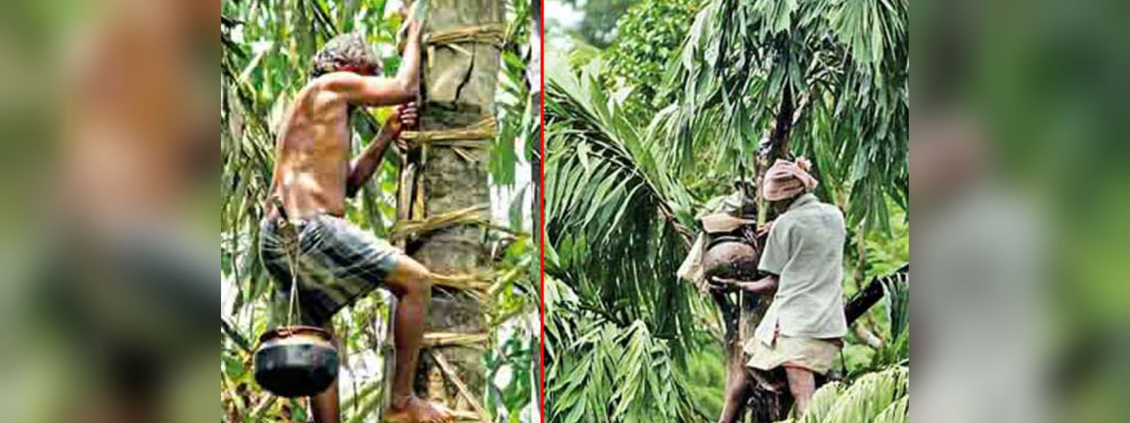 පොලිස්පතිගෙන් සියලු පොලිස් ස්ථාන වෙත දැනුම්දීමක්