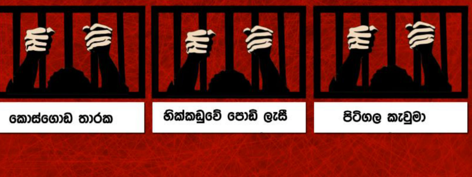 ''මට හිතුණොත් මං මේකෙ වහලෙ කඩාගෙන යනවා''  