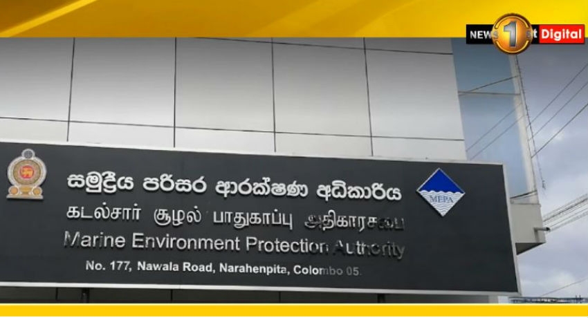 පරිසර නීති උල්ලංඝණය කරමින් දැවි තෙල් බැහැර කළ සමාගම් 15 ක බලපත්ර අත්හිටුවයි