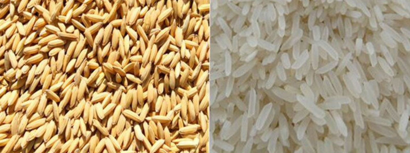 සහල්, වී සත්ත්ව ආහාර නිෂ්පාදනයට භාවිත කිරීම තහනම් 