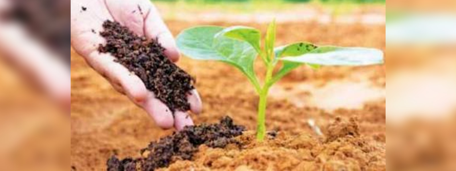 මහකන්නයේ වගා බිම් හෙක්ටයාර 45000කට කාබනික පොහොර