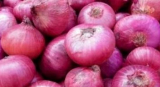 ලොකු ලූණු කිලෝවක ආනයන බද්ද ඉහළට