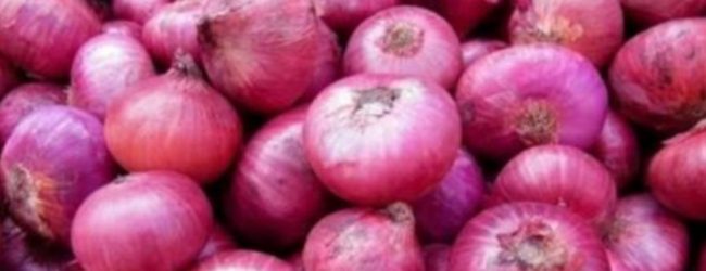 ලොකු ලූණු කිලෝවක ආනයන බද්ද ඉහළට