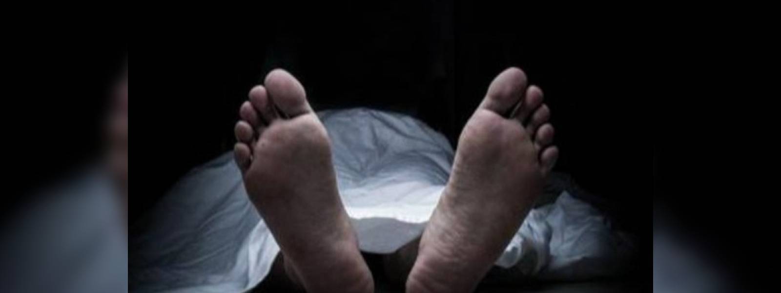 වන අලි ප්‍රහාරයකින් පුද්ගලයෙකු මරුට