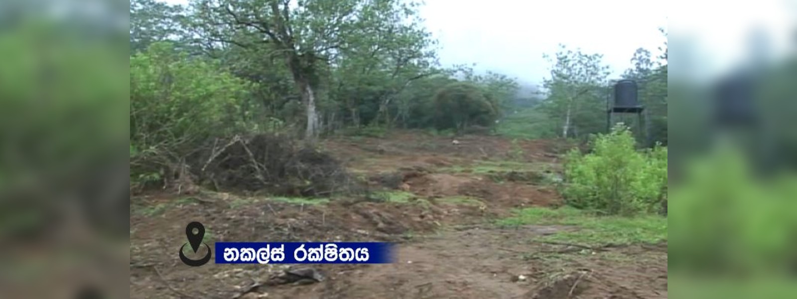 නකල්ස් රක්ෂිතයේ අක්කර 5ක් එළි කළේ කවු ද?