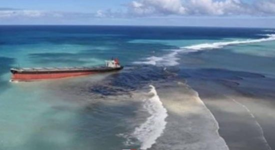 මොරිෂස් දූපත් අසළ තෙල් කාන්දුවට හේතුව හෙළිවෙයි