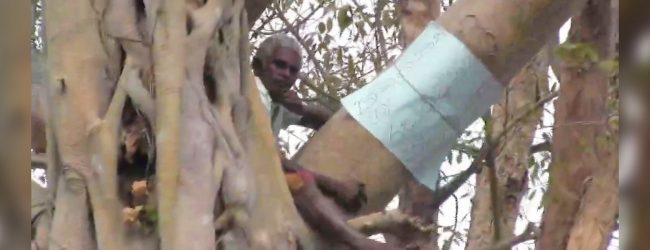 ලග්ගලදී ගසක් උඩ ගොවියෙකු විරෝධතාවක