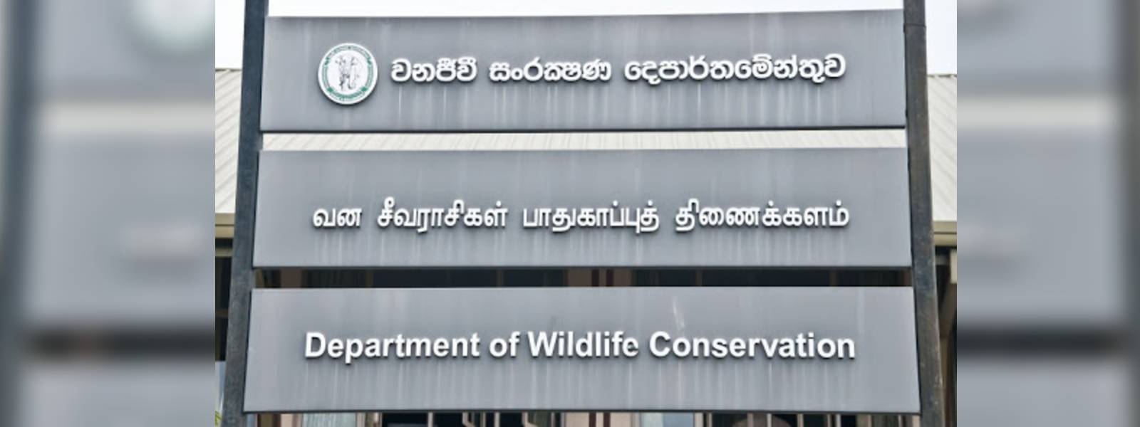  නකල්ස්හි වන විනාශය විමර්ශනයට නිලධාරීන් කණ්ඩායමක්