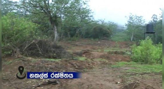 නකල්ස් රක්ෂිතයේ අක්කර 5ක් එළි කළේ කවු ද?