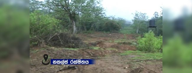 නකල්ස් රක්ෂිතයේ අක්කර 5ක් එළි කළේ කවු ද?