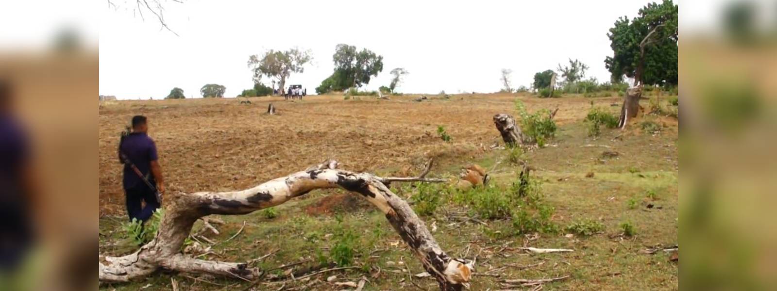 අයිල් අඩි වනාන්තරයට හානි කළ 6 දෙනෙකු කොටු  