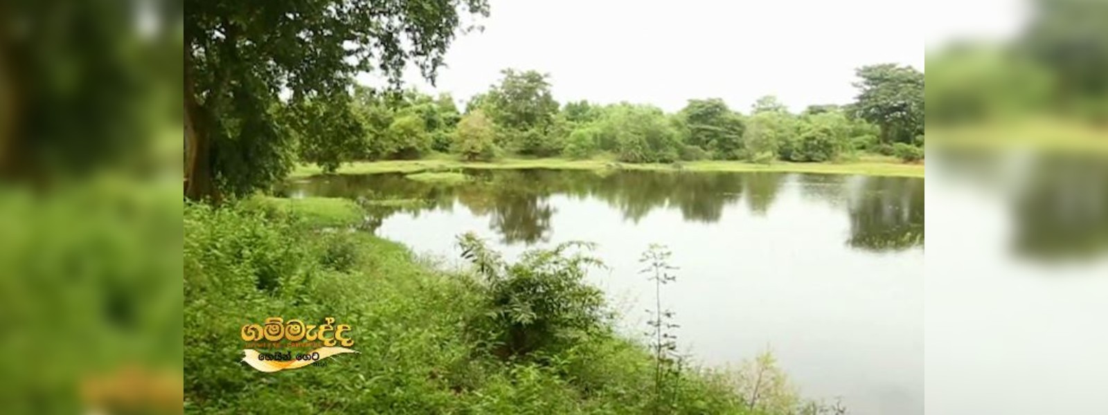 පුත්තලමේ කුඹුරු අක්කර 300ක් පුරන් වෙයි 