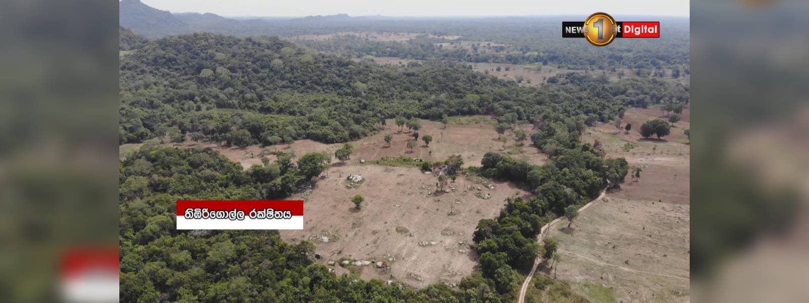 වන සංහාරයට ගොදුරු වූ තිඹිරිගොල්ල රක්ෂිතය 