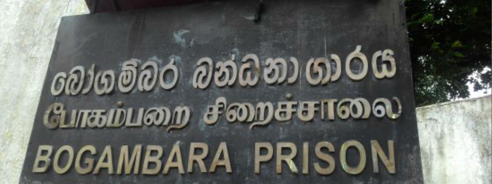 බෝගම්බරින් පැන්න රැඳවියා අල්ලයි