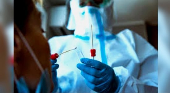 කොළඹ අදත් PCR පරීක්ෂණ 1500 ක්