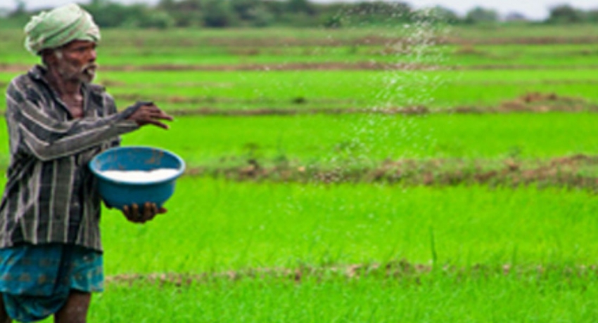 ගොවීන්ට හිඟ, බලධාරීන්ට කිසිදු හිඟයක් නැති පොහොර