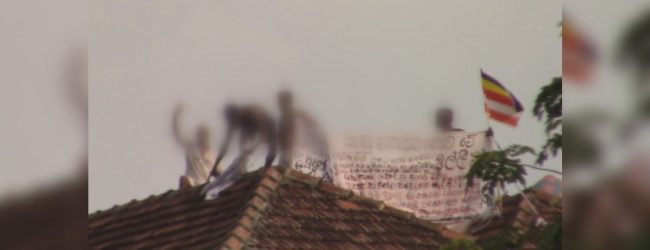 වැලිකඩ රැඳවියන් පිරිසක් අදත් වහලය උඩට....